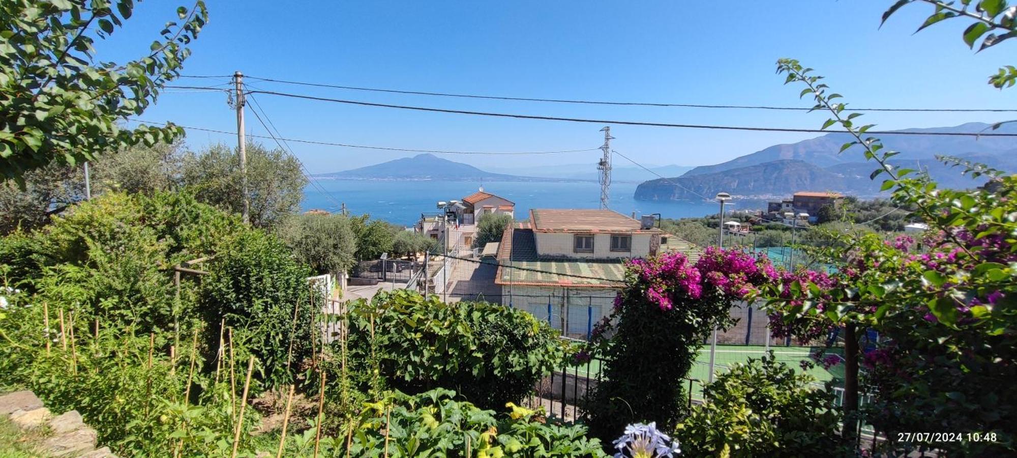 Lally'S Garden Bed & Breakfast Sorrento Exterior photo